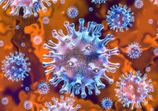 Coronavirus and the stock market